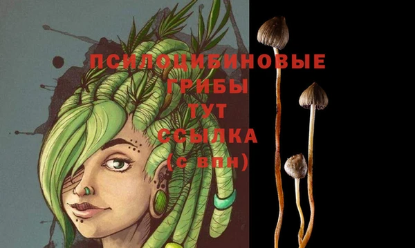 a pvp Верхнеуральск