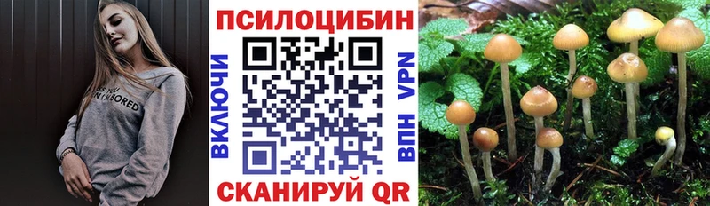 дарк нет состав  Шахты  Галлюциногенные грибы мицелий 